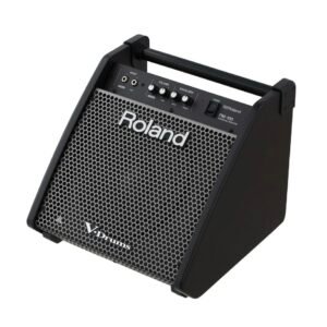 Amp per instrumente ROLAND