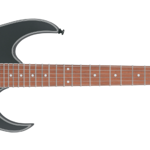 Kitare elektrike Ibanez RG420EX-BKF