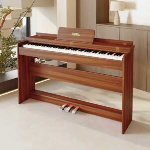 Piano Sonata S-120