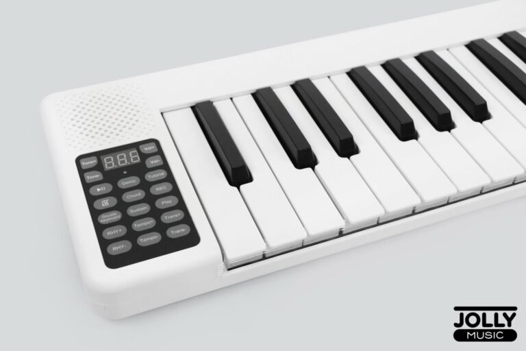 Piano digjitale e palosshme thumbnail 2