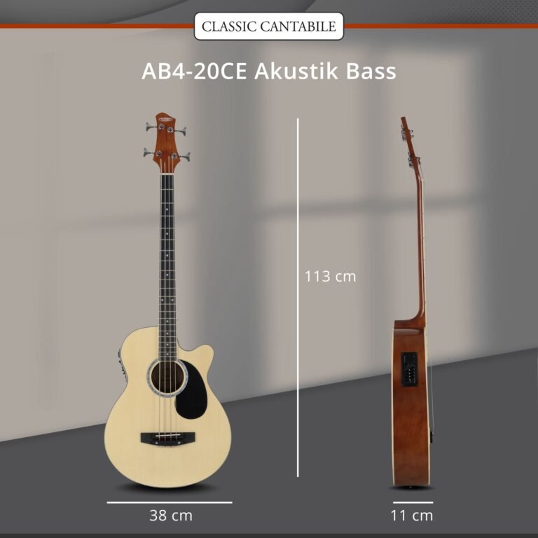 Bass elektro akustik thumbnail 2